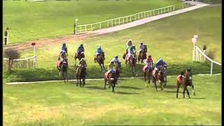 Punchestown Banks Guide [upl. by Blum462]