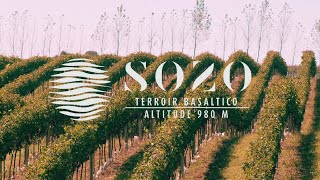 SOZO Vinhos Finos de Altitude [upl. by Amalbergas]