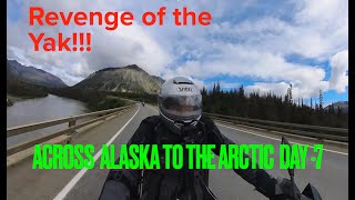 Across Alaska To The Arctic  Day 7 [upl. by Olnton17]