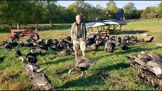 Organic PastureRaised Turkeys  Elmwood Stock Farm [upl. by Aicert]