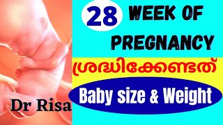 Pregnancy Week By Week Malayalam  28 Weeks Pregnant Malayalam [upl. by Thurstan55]