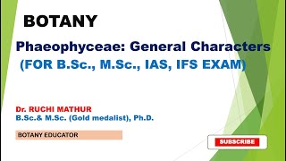 Phaeophyceae General Characters  Brown Algae [upl. by Anait]