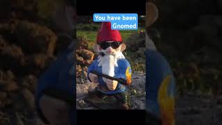 You have been Gnomed gnomesvsknights youhavebeengnomed [upl. by Nwahsir324]