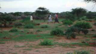 Masawiro beeraha iyo xoolaha Galdogob Somaliawmv [upl. by Waugh609]