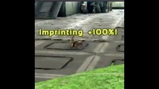 PART 1 100 Ark Imprinting Settings for MEDIUM Dinos shorts BlowoutGaming arkguide [upl. by Vento544]