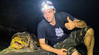 Looking for GIANT TURTLES in the Flint river with Nature With Gabe Alligator Snapping Turtles [upl. by Norraj]