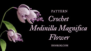 Crochet Medinilla Magnifica Flower [upl. by Enaitsirk]