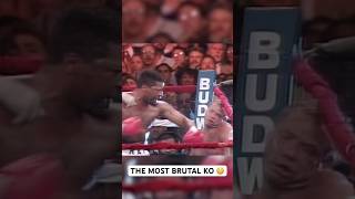 Le KO le plus BRUTAL de lhistoire de la boxe 🤯 [upl. by Meldon]