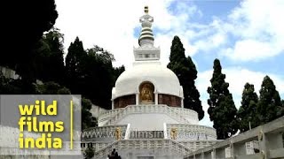 Peace Pagoda  Darjeeling [upl. by Aicela]