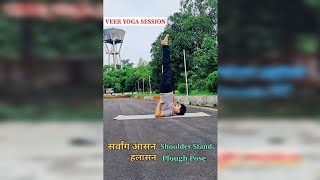 SarvangasanaHalasana Practice सर्वांगआसनहलासन योग अभ्यास shorts ytshorts yoga veeryogasession [upl. by Nonah]