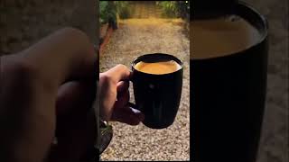 Kam Dekhte Chai  Chai Lover Status Song  Gana Dekhte Chai  Google Dekhte Chai  Sab Dekhte Chai [upl. by Enerahs]