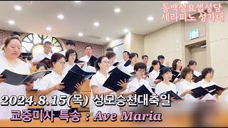 2024815목 성모승천대축일 특송  아베마리아 Ave Maria [upl. by Hgielrebma333]