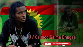 Galmoo Galma Dhugaa  Qubee Tube subscribe like share taasisaa [upl. by Acitel]