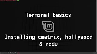 Terminal Basics  Installing cmatrix hollywood and ncdu  Linux Mint [upl. by Fulks]