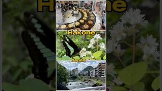 Hidden beauty of Hakone Japan 🇯🇵 japan travel shorts [upl. by Jonis669]