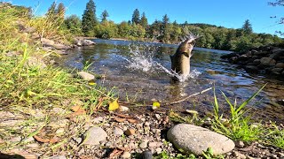 Cowlitz River Bank Fishing [upl. by Letnohc]