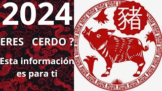 2024 PREDICCIONES PARA EL SIGNO DEL CERDO [upl. by Ruhnke]