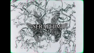 ODD  SERAPHIM Lyric Video [upl. by Alaekim772]