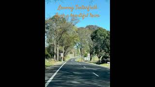 Heading out of Tenterfield roadtrip travel prettytrees peterallen australia roadtrip [upl. by Papert688]