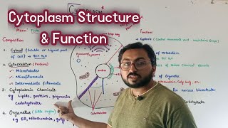 Cytoplasm  Structure  Function  Composition  Cell biology [upl. by Ainotahs]
