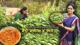 Spicy Bhindi Masala  भेंडीचे सार  Traditional Lunch Recipe  Village Cooking  Red Soil Stories [upl. by Nylehtak80]