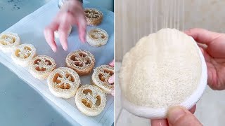 The Best Sustainable Products  Best Loofah Products  Loofah Sponge DIY [upl. by Hands643]