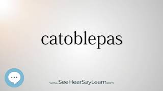 catoblepas [upl. by Etam]