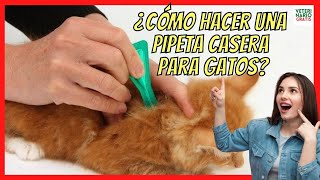 ¿CÓMO HACER UNA PIPETA CASERA PARA GATOS 🍀 CON PULGAS O GARRAPATAS [upl. by Bedad]