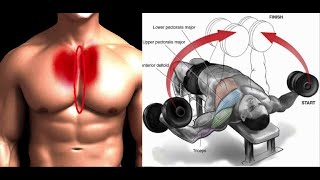 6 BEST EXS INNER CHEST  Meilleurs exercice poitrine interne [upl. by Tiernan]