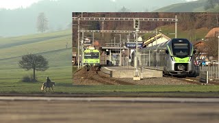 Bahnspaziergang am Nachmittag in Walkringen  Ruhig und doch einiges los [upl. by Luapleahcim164]