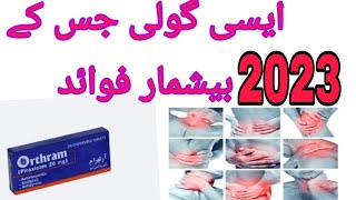 Piroxicam 20MG Tablet Uses amp Side Effects In HindiUrdu  Orthram 20MG  NSAID  Pain  Arthritis [upl. by Badr451]