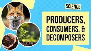 Biotic and Abiotic components of an Ecosystem [upl. by Efron713]