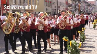 🚨🎉🎺 Großer Festumzug zur 555 Chilbi in Waldshut am Hochrhein am 20082023 HDVersion [upl. by Jessalin]