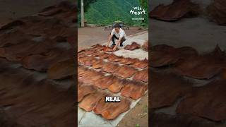 How To Make Palm Leaf Raincoat [upl. by Engleman]