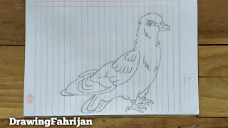 How To Draw A Bird [upl. by Binnie]