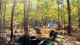 Building A Shabin Tool ShedCabin In The Woods [upl. by Nemad411]