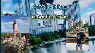 Austin Bats Bridge in Texas [upl. by Luhe]