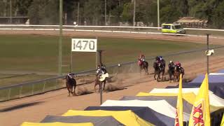 Gympie 20240720 Race 4 [upl. by Eusebio]