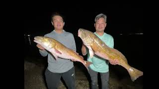 BIG RED FISH CAUGHT AT BROKEN BRIDGE  PORT BOLIVAR [upl. by Birck]