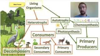 Biology 012 Ecosystems  Biotic and Abiotic Factors [upl. by Hadwyn759]