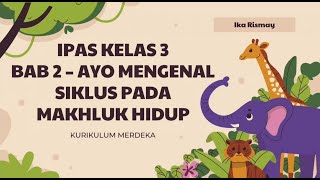 IPAS Kelas 3 SD  Bab 2 Ayo Mengenal Siklus pada Makhluk Hidup  Kurikulum Merdeka [upl. by Farmelo193]