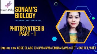 Photosynthesis class 11 NCERT [upl. by Rucker]