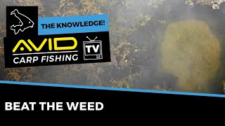 HOW TO FISH IN WEED  Carp Fishing The Knowledge [upl. by Stanhope]