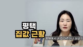 평택 집값 현실 이렇습니다 갈아타기 전략으로 꼭 봐야할 곳 알려 드립니다 [upl. by Sherourd]