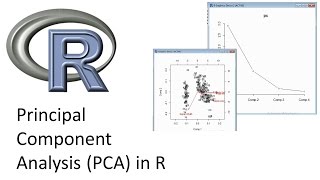 Principal Component Analysis PCA in R [upl. by Matthei228]