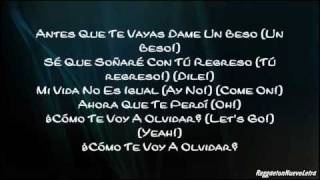 Daddy Yankee Ft Tony Dize  La Despedida Letra [upl. by Yvon]