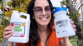 Fertilizing Orchids New Products Let’s Bring on the BLOOMS [upl. by Huba]