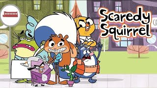 Scaredy Squirrel Season 1 Episode 10  Dream Weaver Chili Con Scaredy [upl. by Eilata]