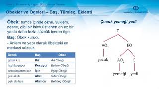 GENEL DİLBİLİM II  Ünite 1 Özet [upl. by Cammi475]