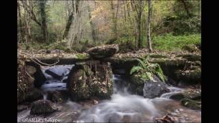 La Rochette  Donzenac Corrèze France  Novembre 2016 [upl. by Isayg]